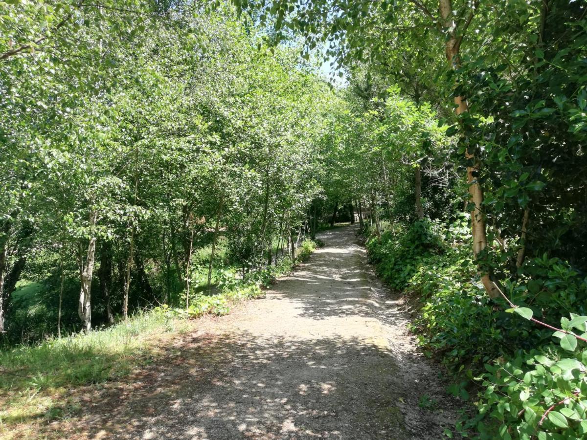 Albergue Camino Real سيغويرو المظهر الخارجي الصورة
