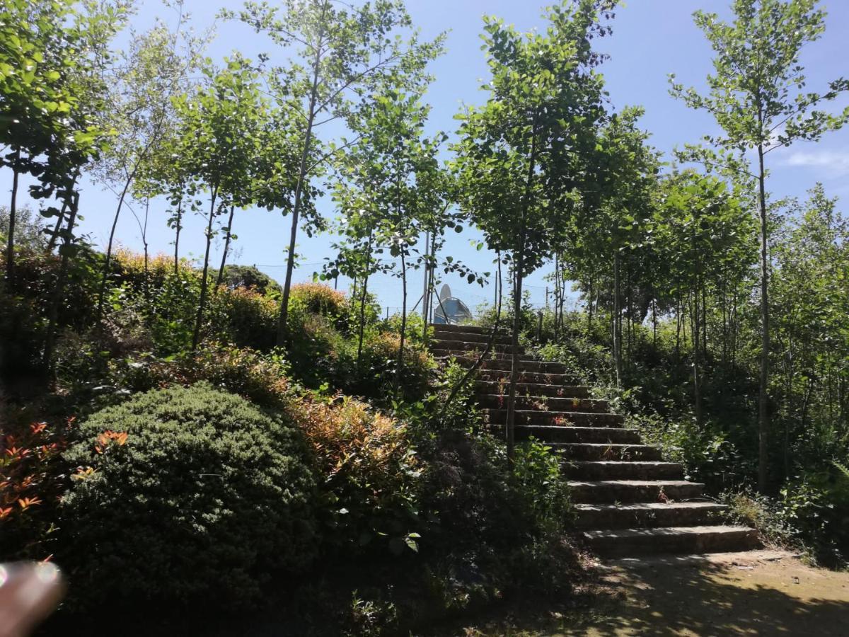 Albergue Camino Real سيغويرو المظهر الخارجي الصورة